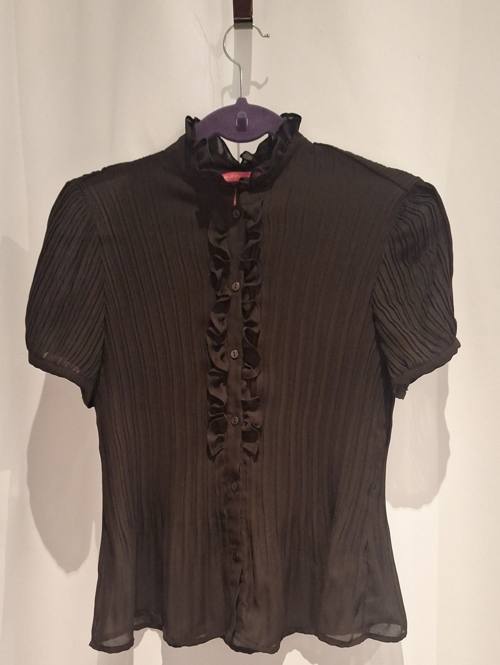 Sunny Leigh Chocolate Brown Sheer Ruffled Short-Sleeve Pleated Blouse